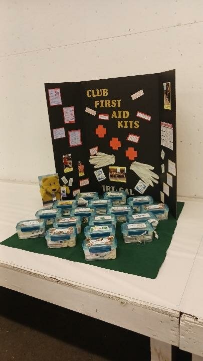 Tri-Gal's club project, a first aid kit
